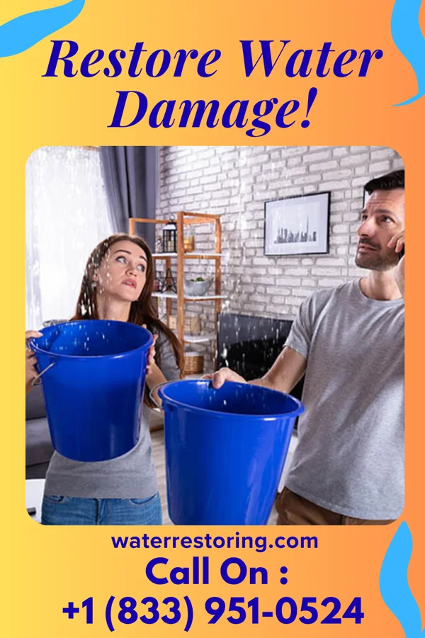 water restoration Direct Water Repair Pemberton Heights