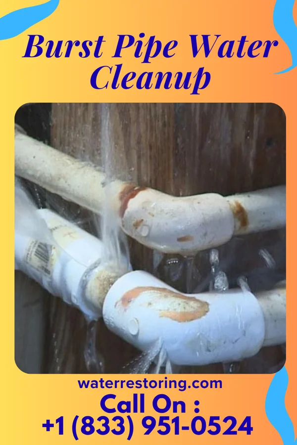 Burst Pipe Water Cleanup in Pemberton Heights, NJ