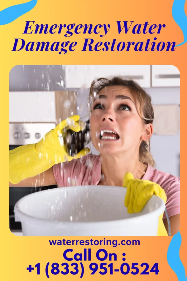 Emergency Water Damage Restoration in Pemberton Heights, NJ