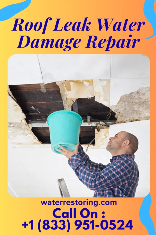 Roof Leak Water Damage Repair in Pemberton Heights, NJ