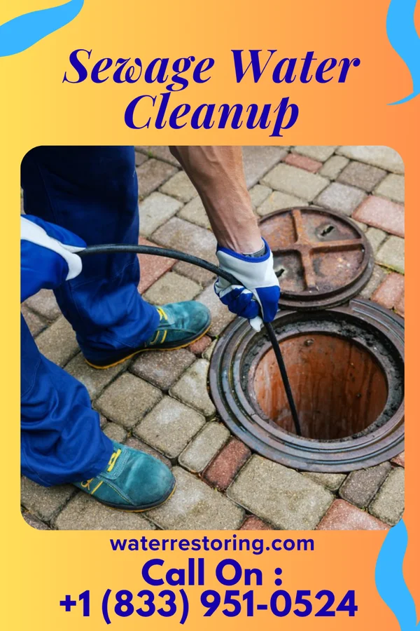Sewage Water Cleanup in Pemberton Heights, NJ